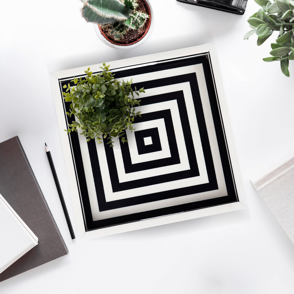 Concentric Tray